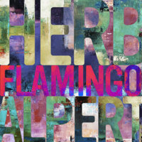 Flamingo_Cover.jpg
