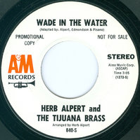 Wade In The Water Stereo.jpg